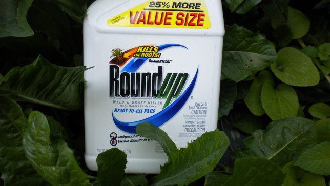 Roundup