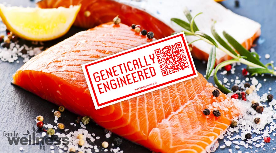 US Food Safety Experts Sue FDA over GMO Salmon Approval for Human