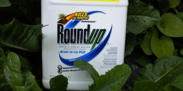 Roundup-e1357192553864