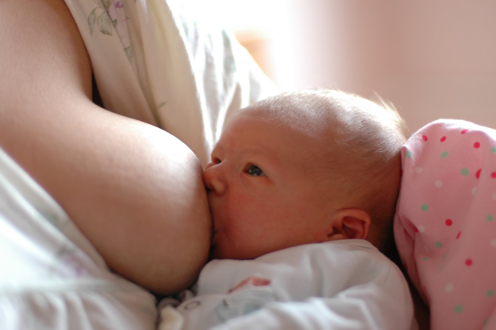 OCA Calls on US Regulators to Ban Glyphosate over Breast Milk Study.