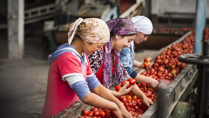 Kyrgyzstan Parliament Orders 100% Organic Agriculture within 10 Years ...