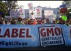 GMO labeling