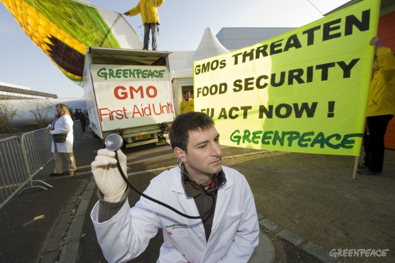 Greenpeace Expects EU Breakthrough on Countries' Right to ...