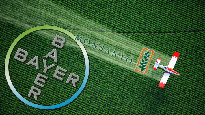 Bayer Monsanto Slump