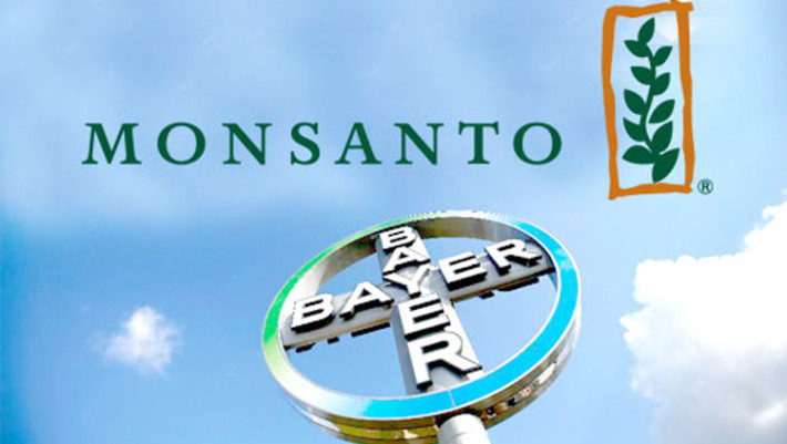 Bayer - Monsanto Merger Must Not Hide 'Monsanto's Food Crimes ...