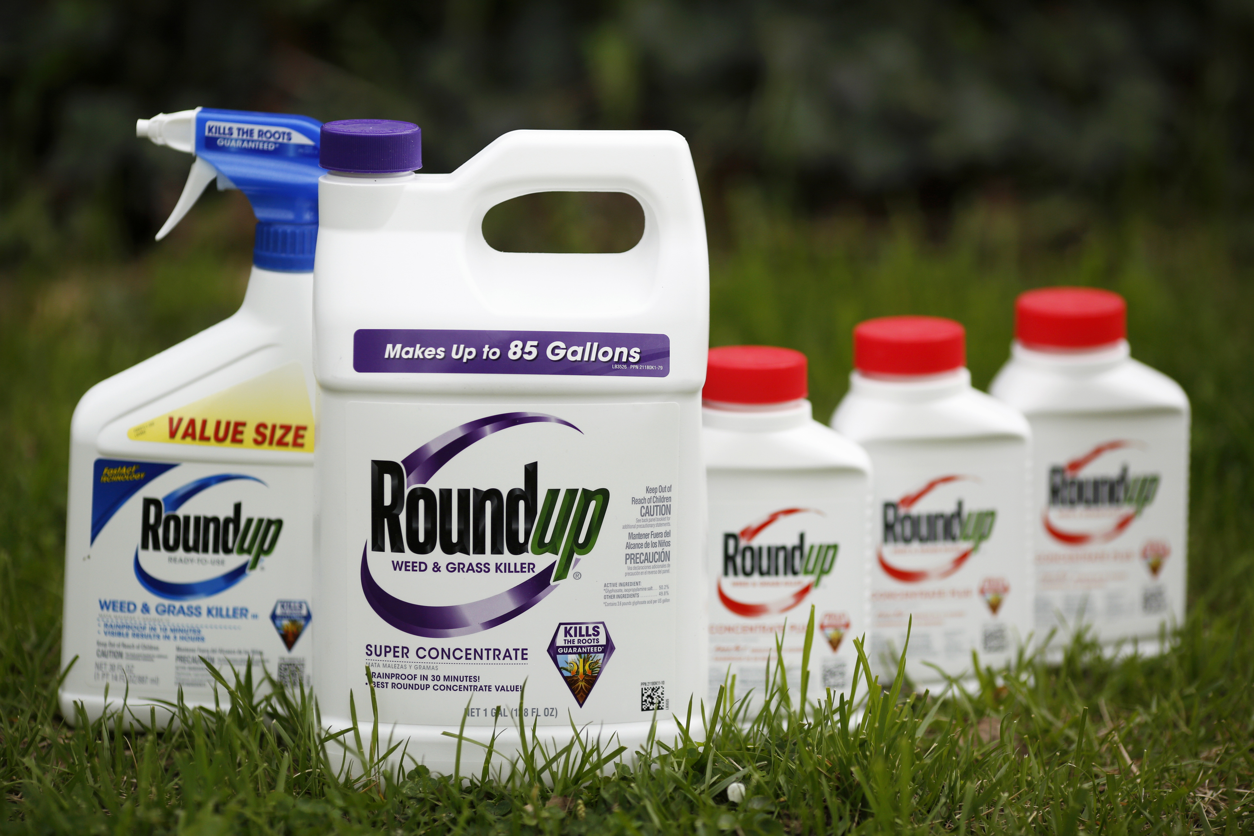 Expert Scientists Attack Journal Over Monsanto Influence And Funding ...