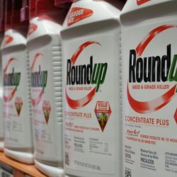 Exposure To Chemical In Roundup Increases Risk Of Cancer - New Review ...