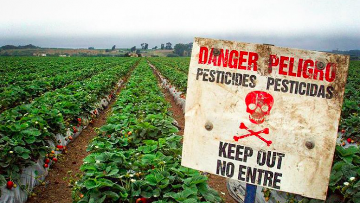 pesticides
