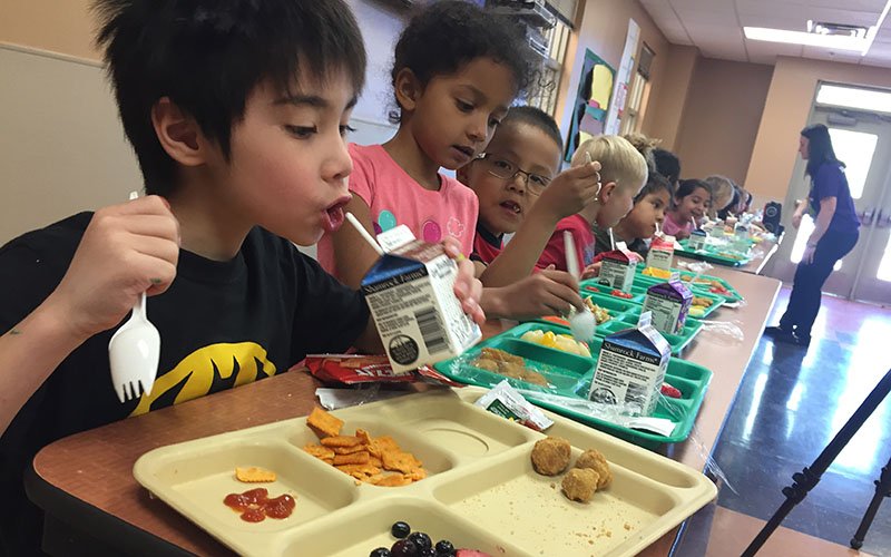 US School Lunches Heavily Contaminated with Toxic Chemicals and ...