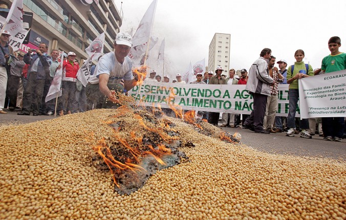 gmo brazil soybeans